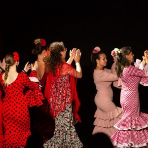 Sevillanes Nivell mig-avançat primavera