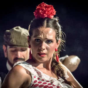 Sevillanas iniciaciÃ³n