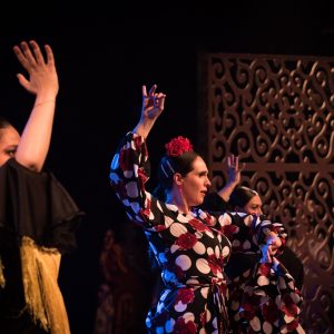 Curs Flamenc primavera