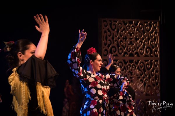 Curso de Flamenco (Primavera)