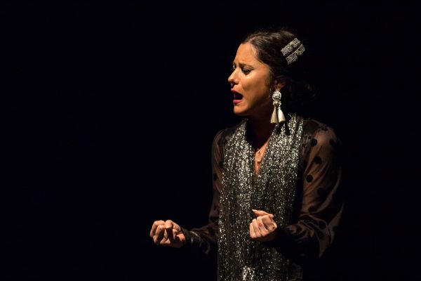 Intensiu Sevillanes dissabtes - Imatge 2